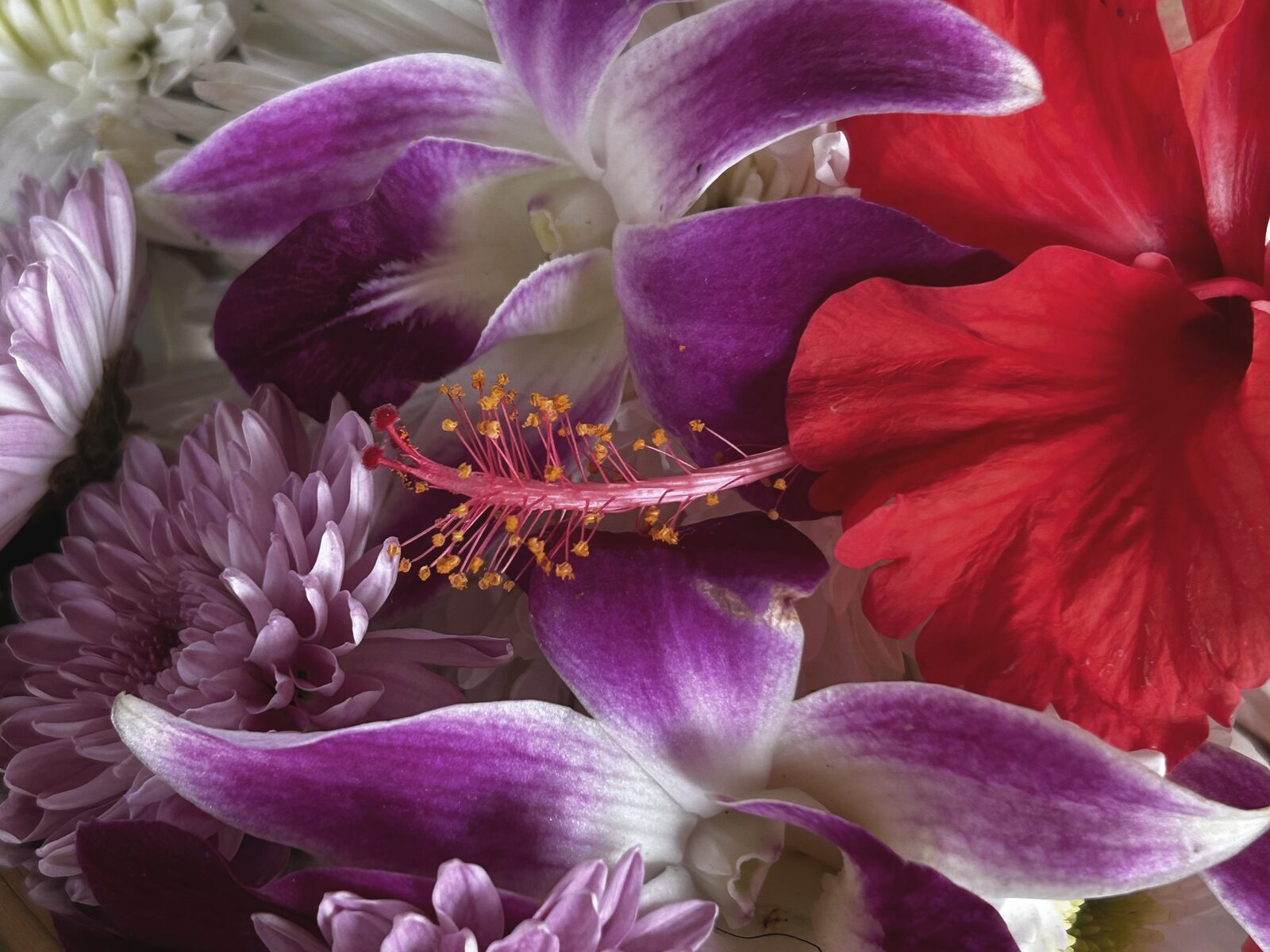 Fleurs déposées au centre de l'espace